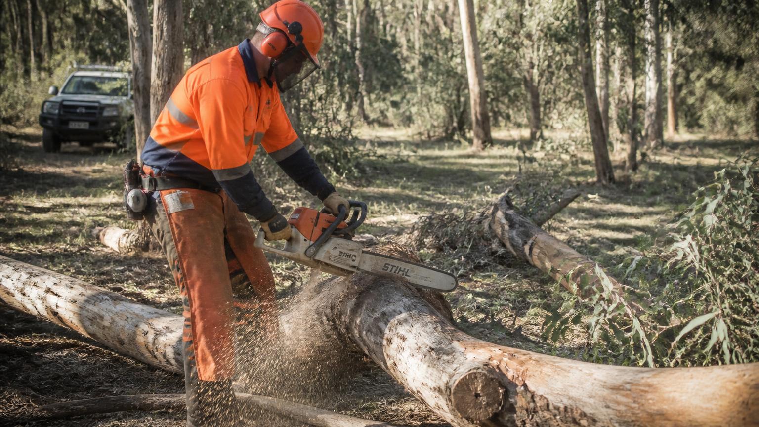 Chainsaw Safety Awareness — Australia